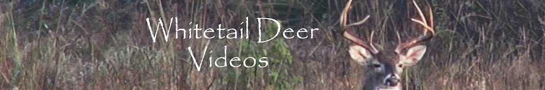 whitetaildeervideos YouTube channel avatar