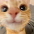 3xUzpbMI4_E-channel-avatar-강냥