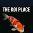 HG15DcGhaZQ-channel-avatar-The Koi Place 