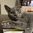 7A3iJNLqKaY-channel-avatar-Jess