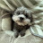 @이거거덩-s4v