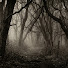 nQ9YhdQuWaw-channel-avatar-The Cold Hour