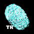 wGMjGltv9Q4-channel-avatar-Forgotten Lives Türkçe