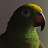 @Mr.Mojito-parrotlord