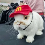 Sanichi タヤン
