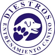 Diestros Caninos