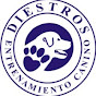 Diestros Caninos