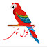 gyEU4WsGUIQ-channel-avatar-kabul Shawqi _ کابل شوقی