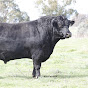 Alloura Angus logo