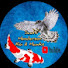 K8ena-wv-DA-channel-avatar-Scott Henderson Koi & Hawks