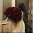 @FatmaFawzy-z7s