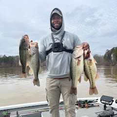 Brandon mcgee