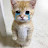 @가을겨울그리고
