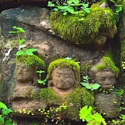  Daily Plant Garden