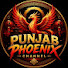 nlNtUPvNv3U-channel-avatar-Punjab Phoenix