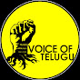Voice Of Telugu Stories logo