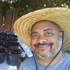 Thumbnail of related channel