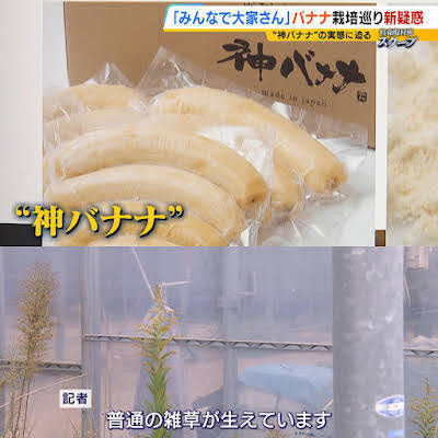 みんなで大家さん】64億円の出資を集めたとみられる「神バナナ