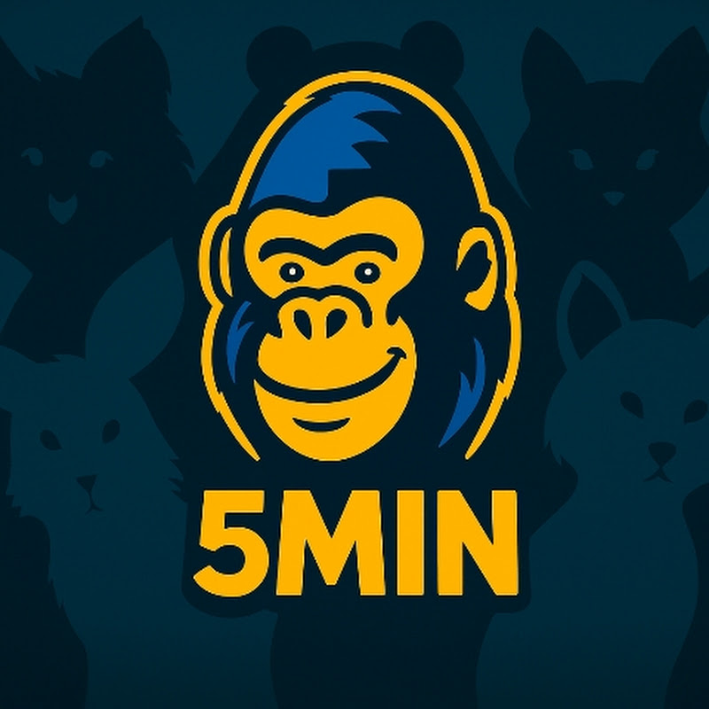 5MIN Webcam Live | 5分鐘視角