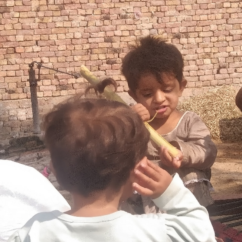 Malik Sadam
