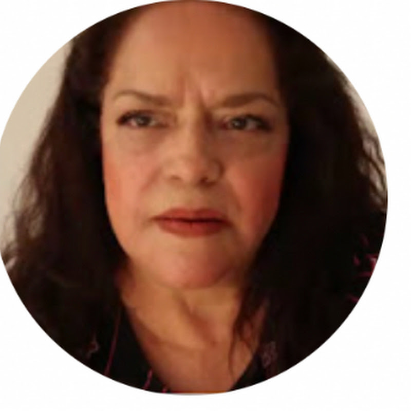 Patricia Figueroa Vlogs 