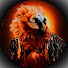 lrMDZVWT6gQ-channel-avatar-RedBird 