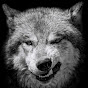 Videos by Wolf