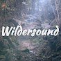 Wildersoundaotearoa YouTube Profile Photo