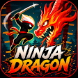 Ninja Dragon icon