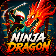 Ninja Dragon icon