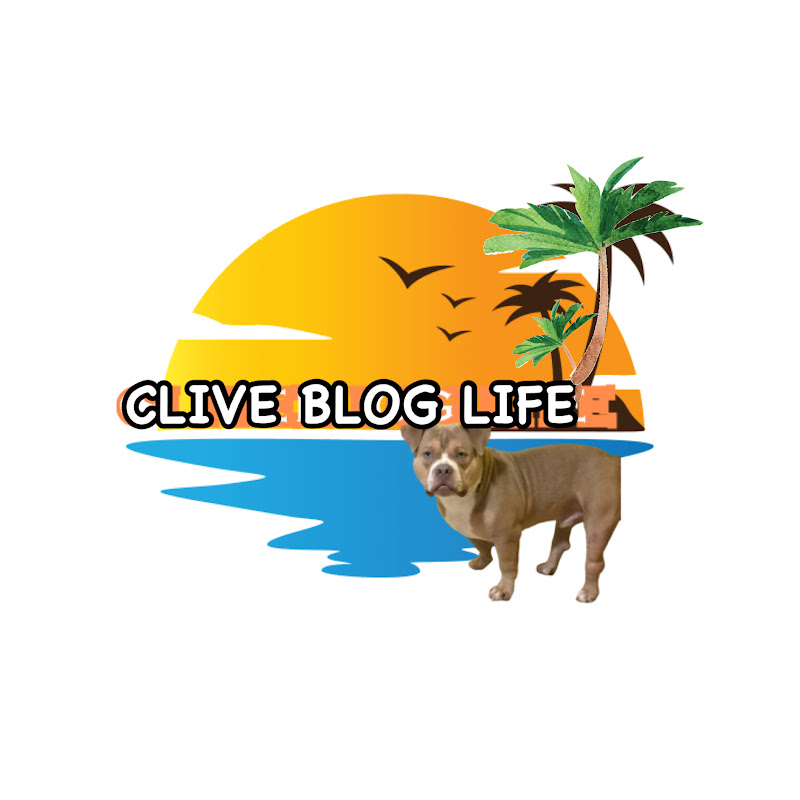 CLIVE BLOG LIFE icon