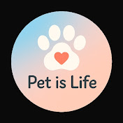 pet is life