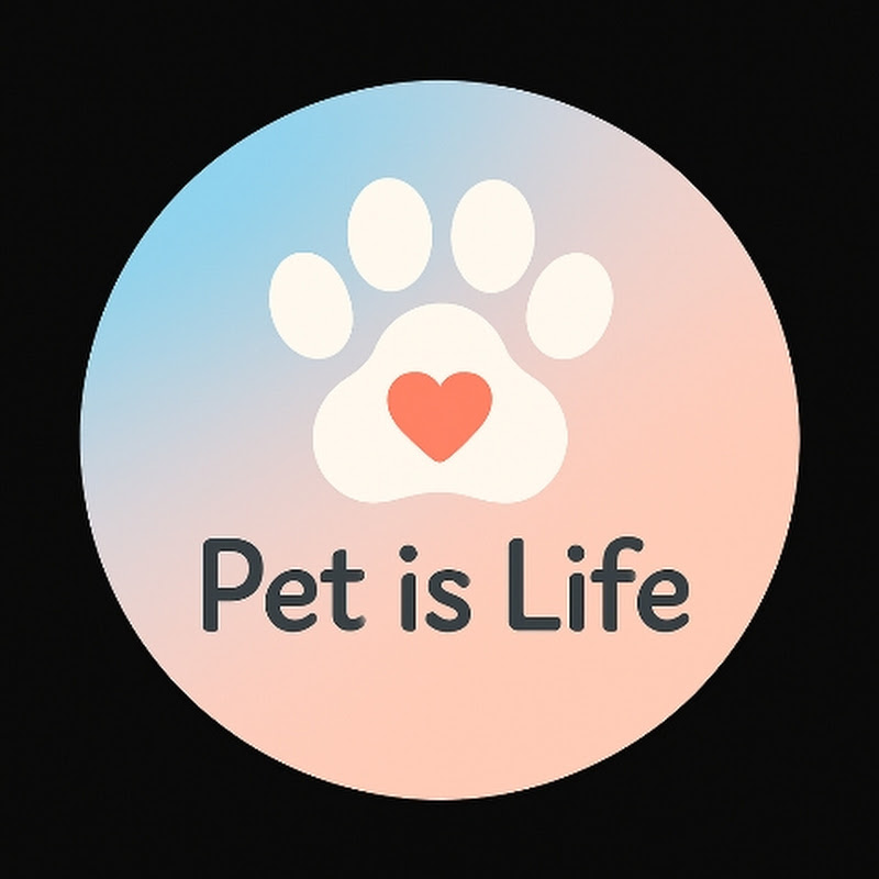 pet is life