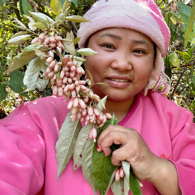 Susmi-Village Girl