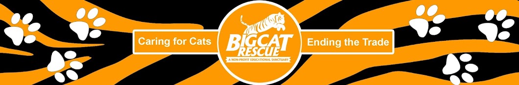 Big Cat Rescue Awatar kanału YouTube