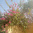 @Nareman-dr3fj