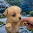3QOjkiOJ2rs-channel-avatar-Paws of Hope Forever Homes