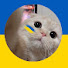 C33jIyyv11c-channel-avatar-orange_cat.92