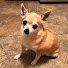 IDtoiv_sfrU-channel-avatar-3Dspoders' Game Emporium