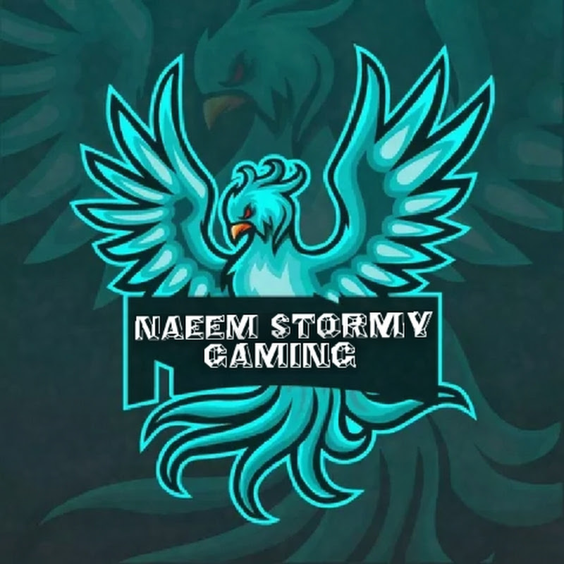 Naeem Stormy Gaming