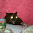 NIvEhMwbusQ-channel-avatar-SynthAngelsDiscoDemons