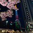 29b-yot_YxA-channel-avatar-pom