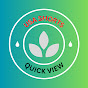 USA Shorts - Quick Views logo