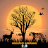 Mqpf0x_xEi4-channel-avatar-WILD LIFE OF SUNDARBAN 2.0
