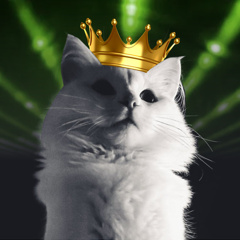 CrazyCat935 icon