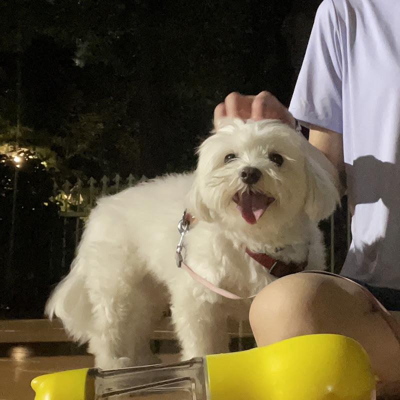 김포비