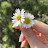 @hafsahesham6796