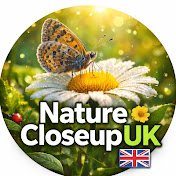Nature Up Close