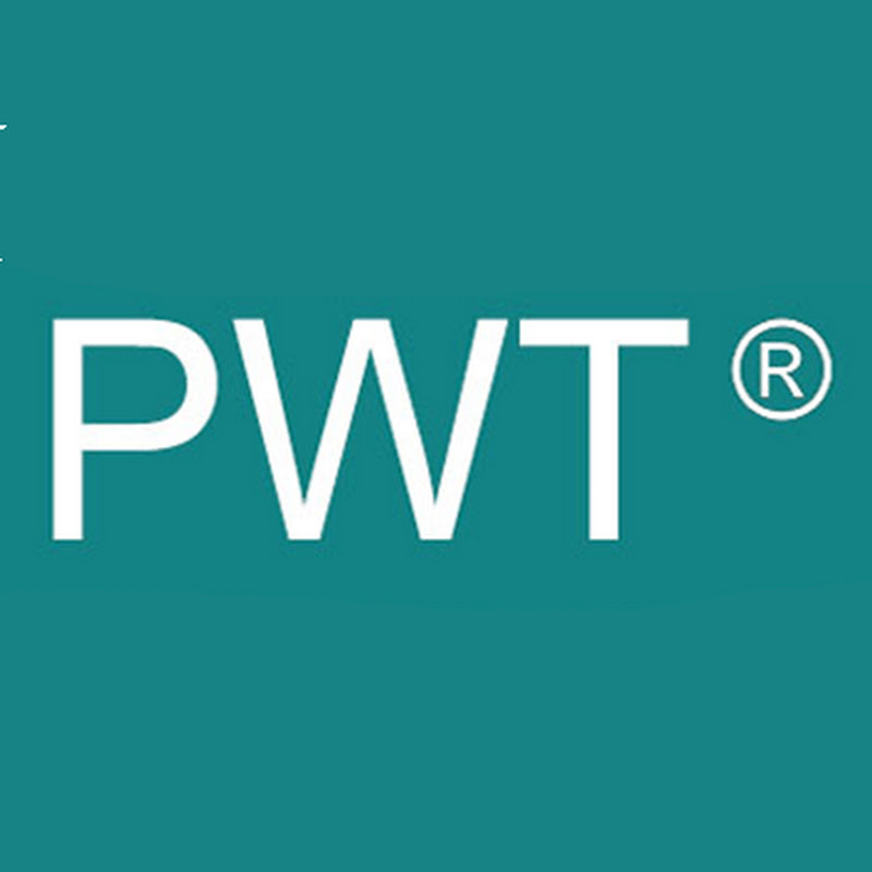 PeWeTools Logo