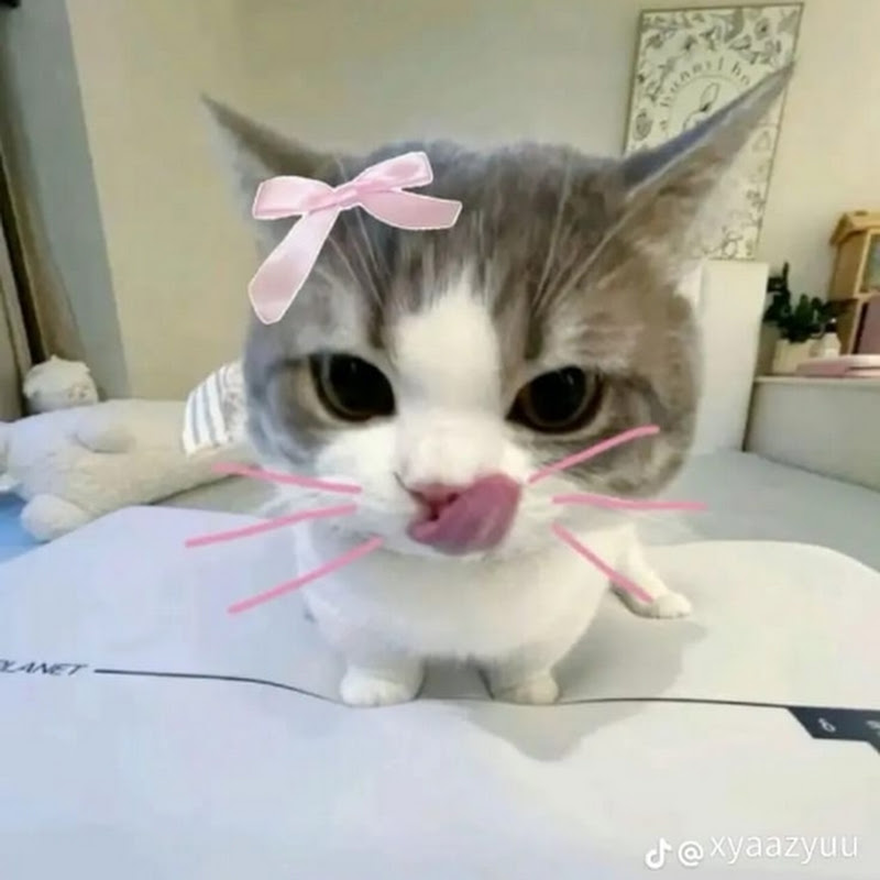 Hana_channel!?